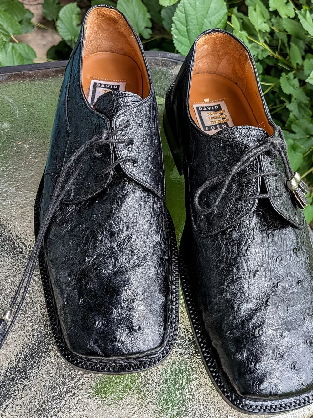 David Eden Men's Exotic 